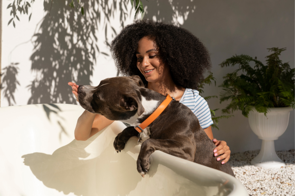 Os pilares do bem-estar animal integrativo