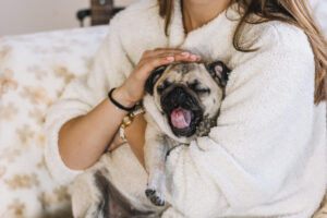 Mulher fazendo reiki no cachorro