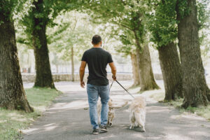 homem caminhando com o cachorro