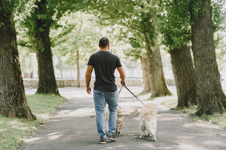 homem caminhando com o cachorro