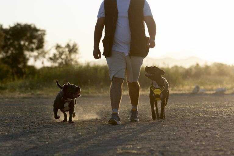 Homem caminhando com seus cachorros